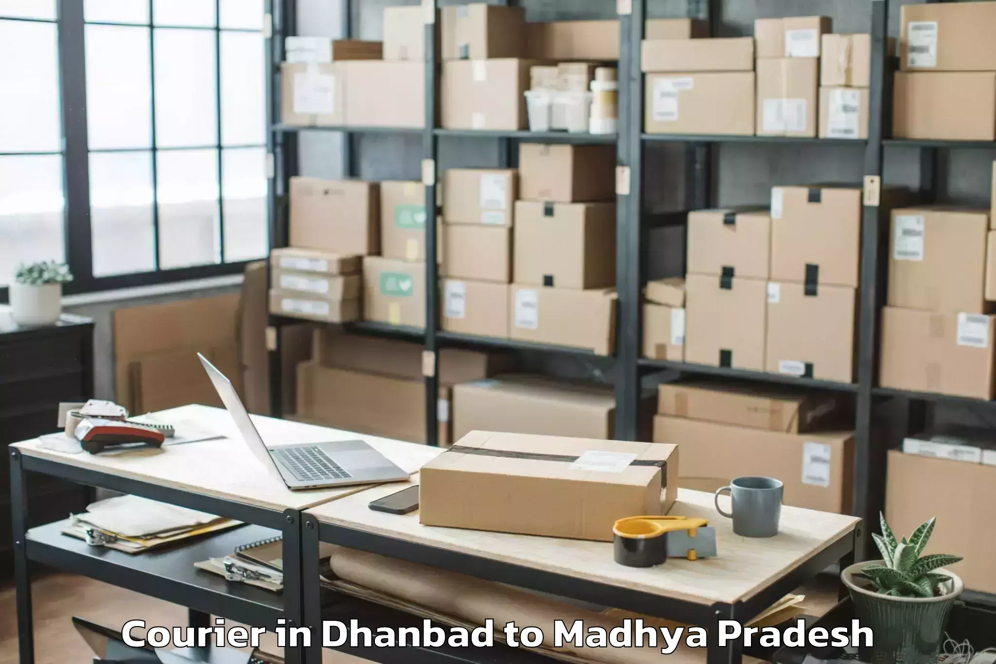 Easy Dhanbad to Gogapur Courier Booking